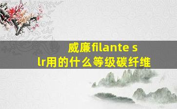 威廉filante slr用的什么等级碳纤维